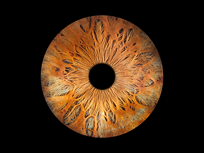 1 personne