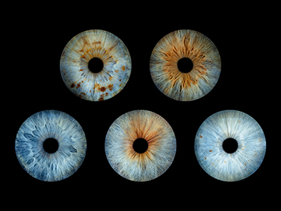 5 personnes