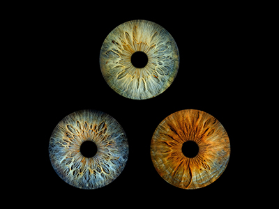 Für drei